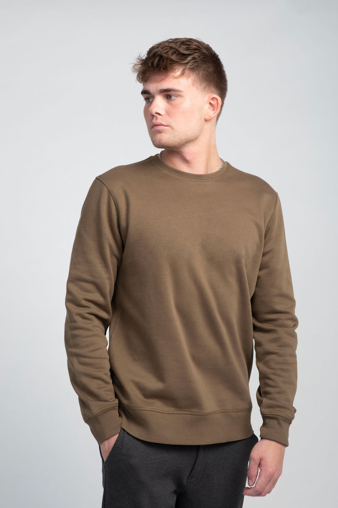 Crew Neck Sweatshirt - Plain